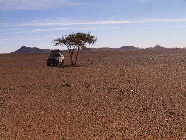Maroc.jpg (58064 octets)
