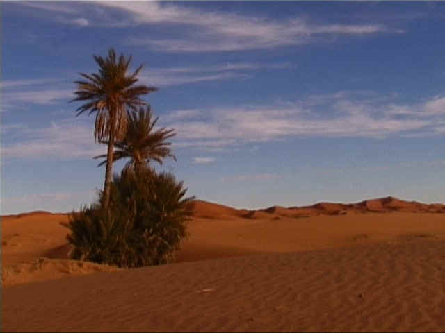 Maroc (1).jpg (58613 octets)